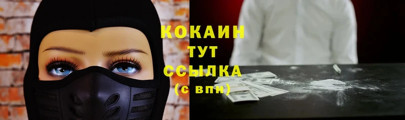 MEGA   Лихославль  COCAIN Эквадор 